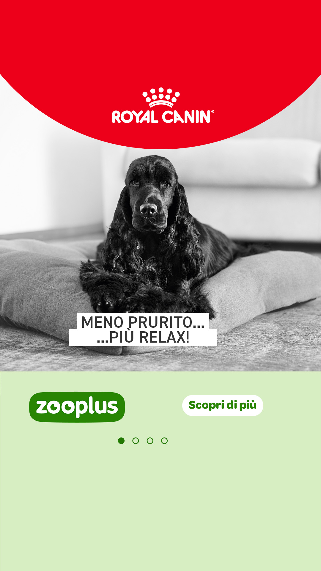 zooplus Facebook ad