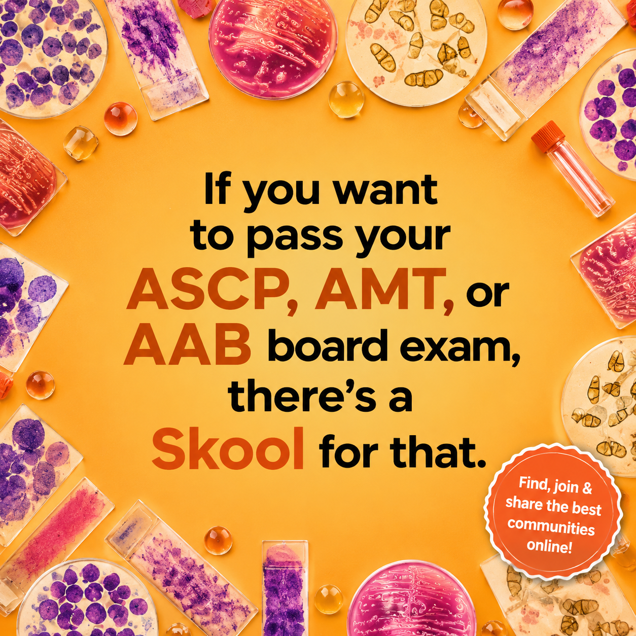 Skool Facebook ad