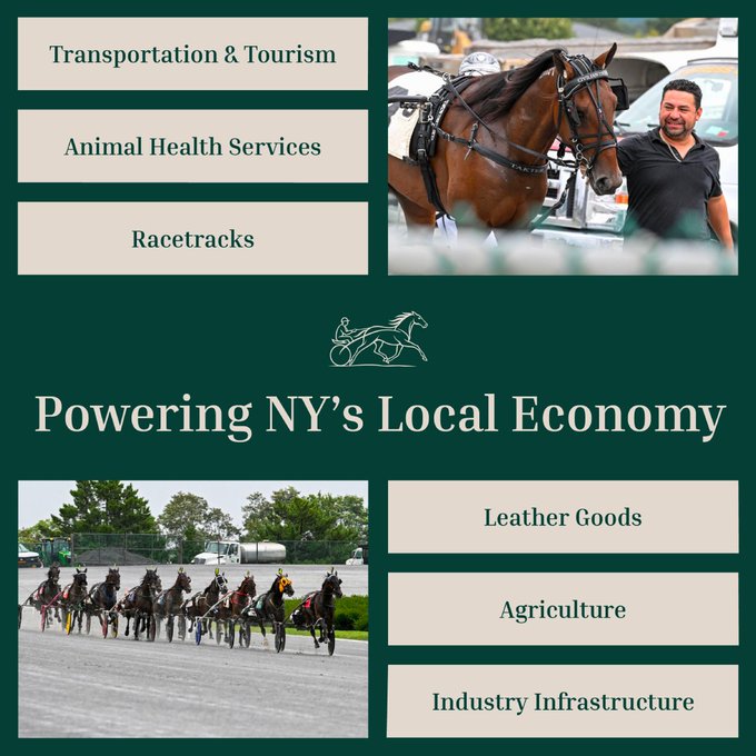 New Yorkers for Harness Racing Facebook ad: Impact Beyond the Racetrack