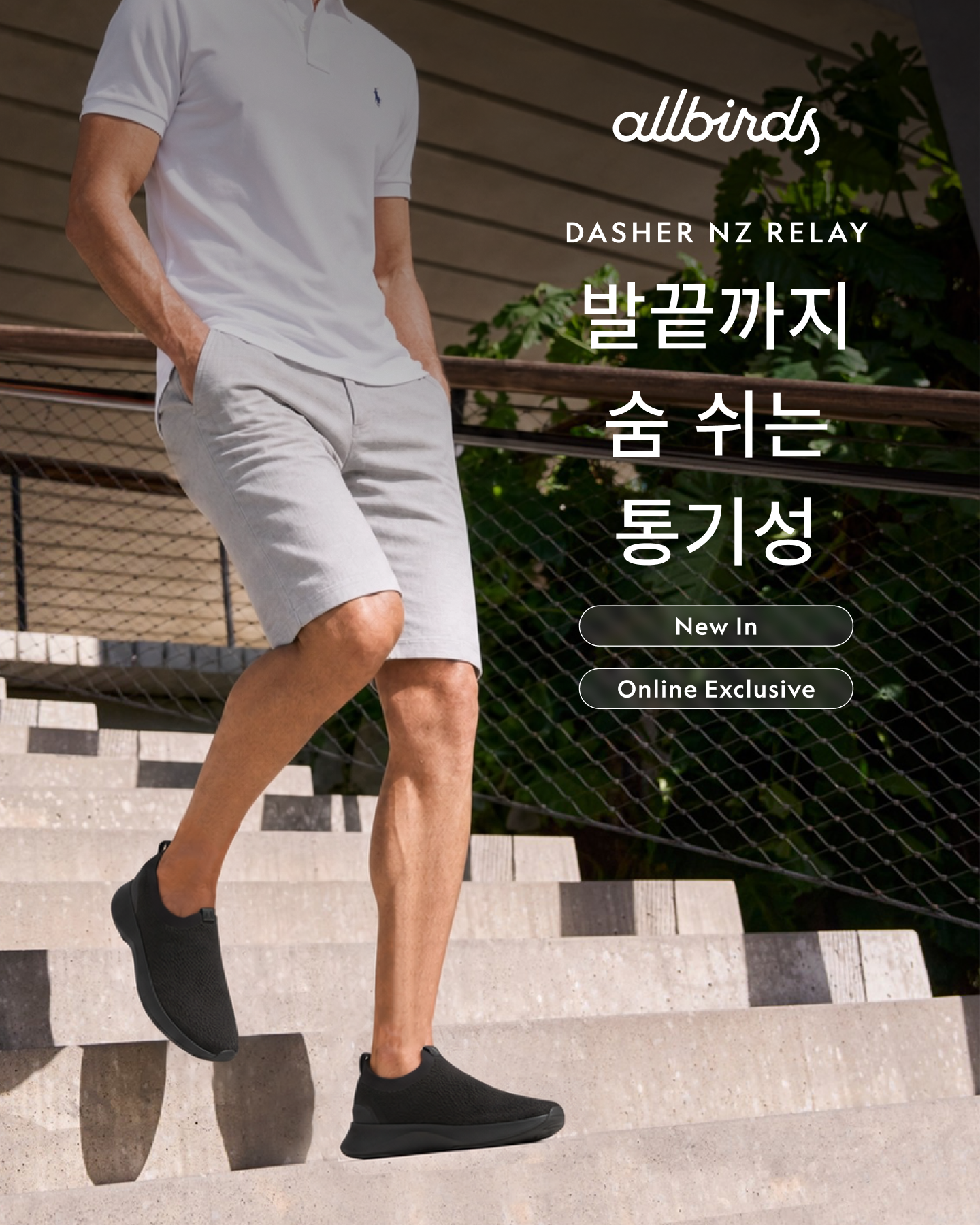 올버즈 Allbirds KR Facebook ad