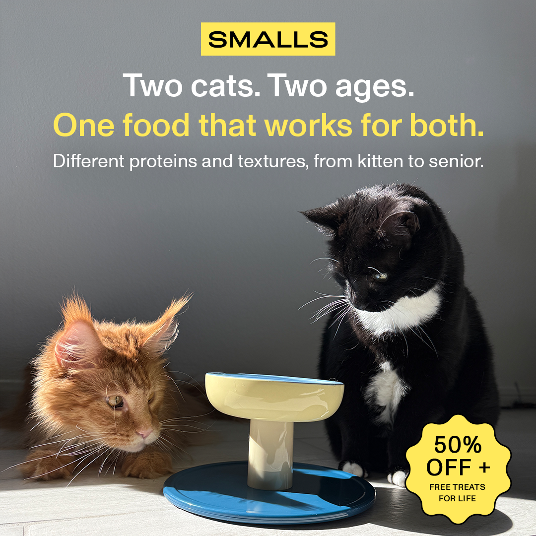 Smalls Facebook ad