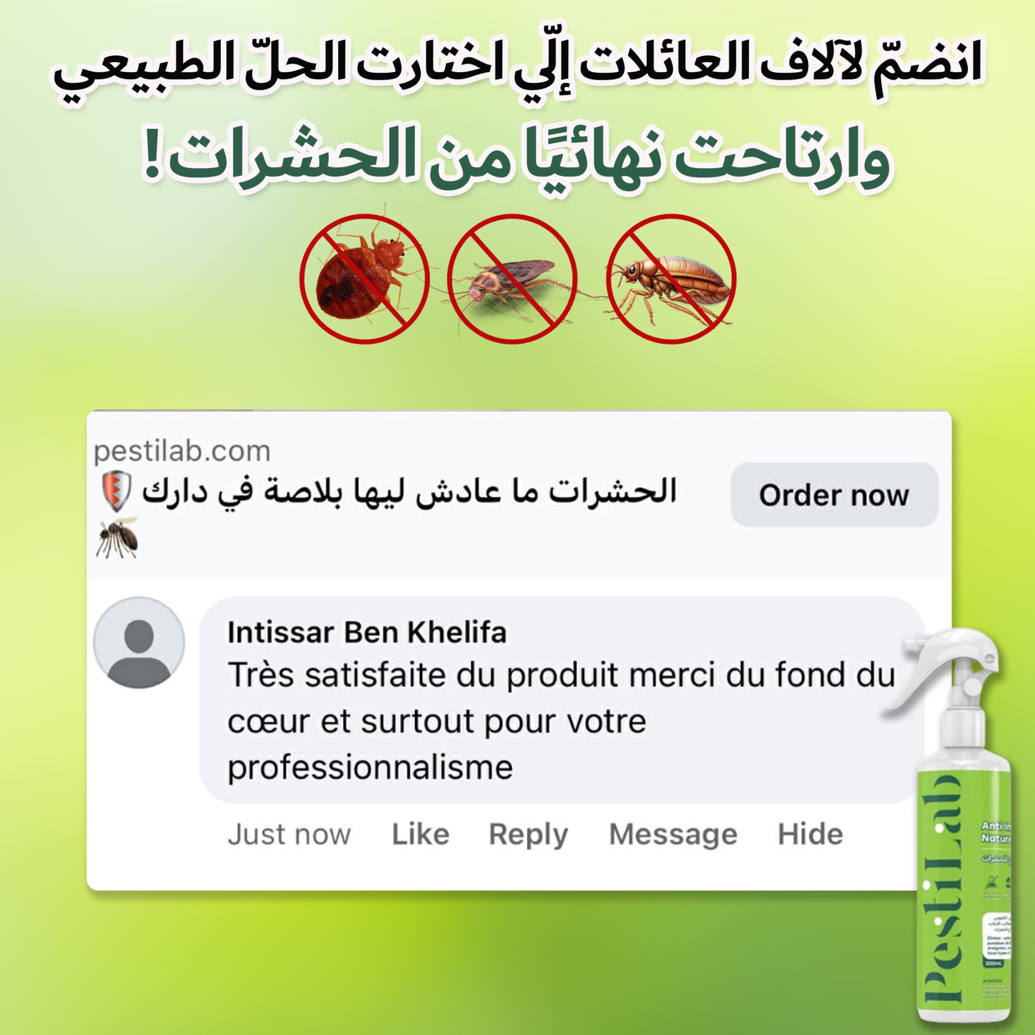 Pesti Lab Facebook ad: الحشرات ما عادش ليها بلاصة في دارك