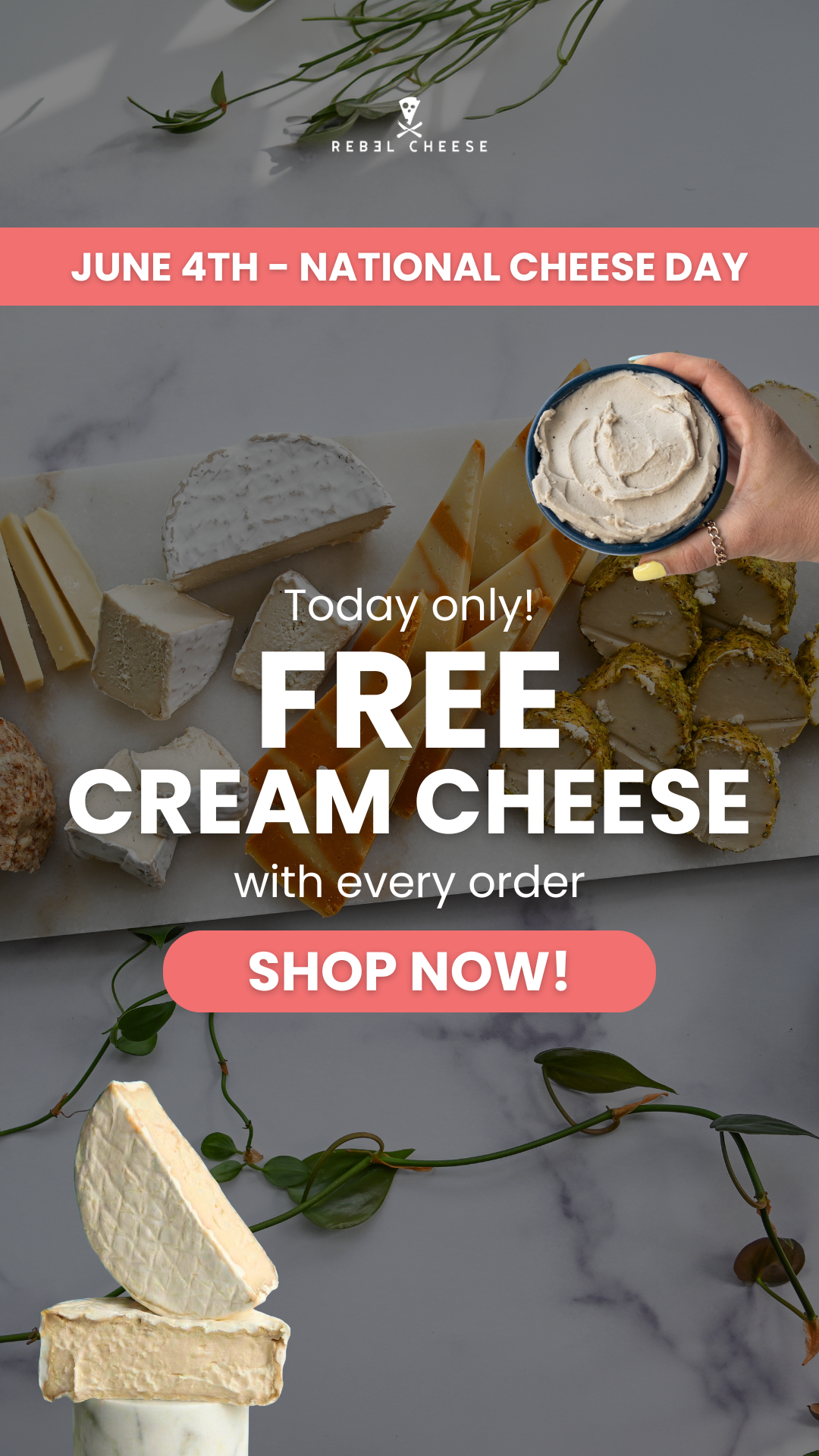 Rebel Cheese Facebook ad