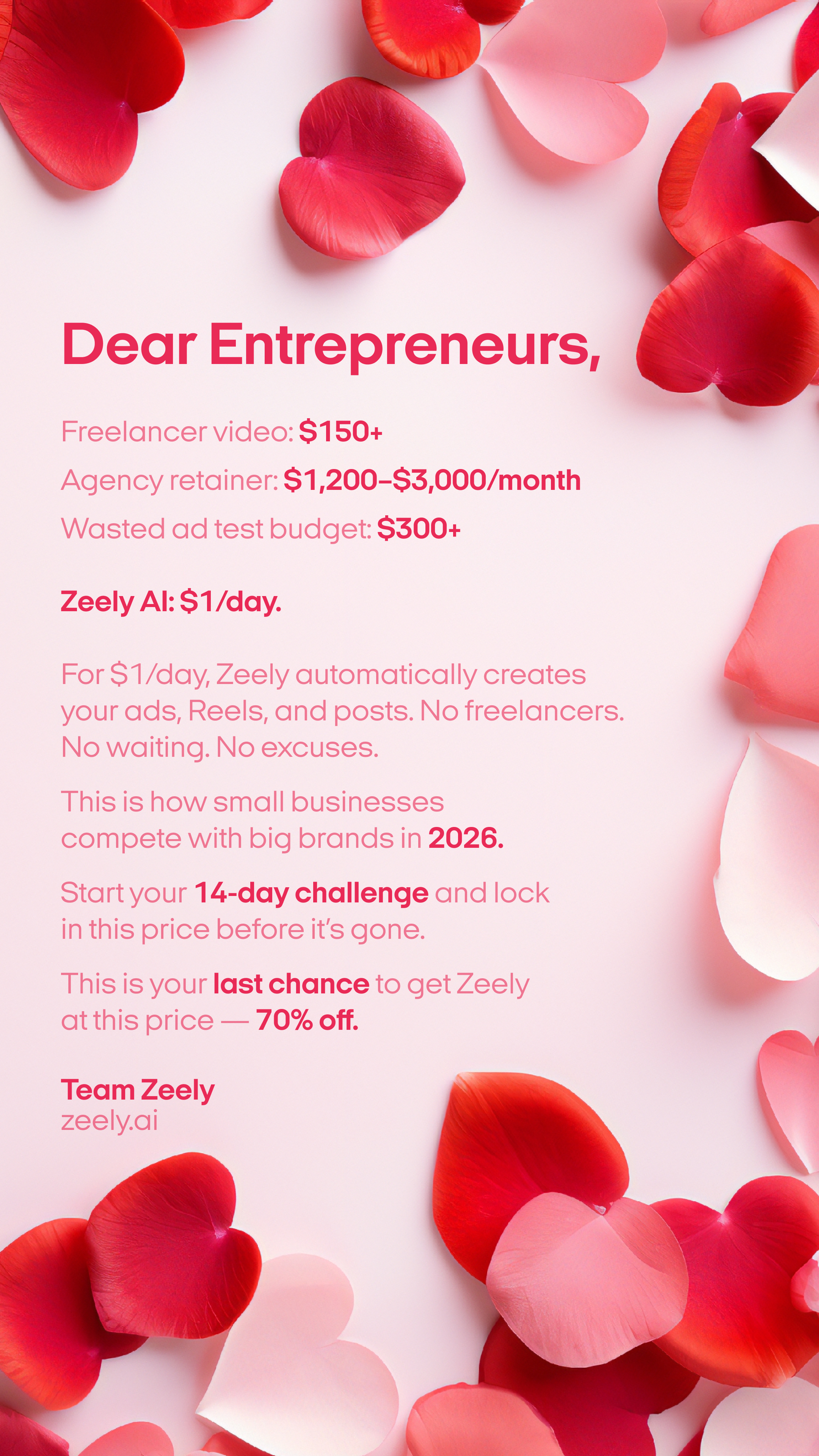 Zeely Facebook ad