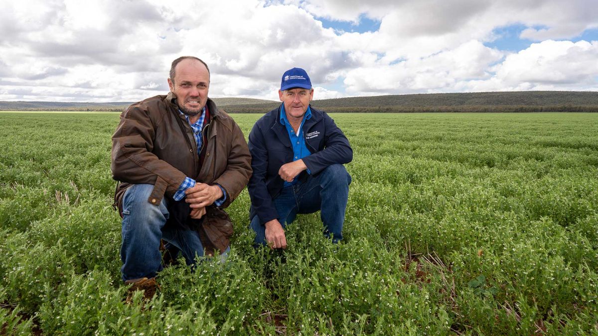 Grains Research and Development Corporation Facebook ad: Lentils are earning a place in south-west NSW…