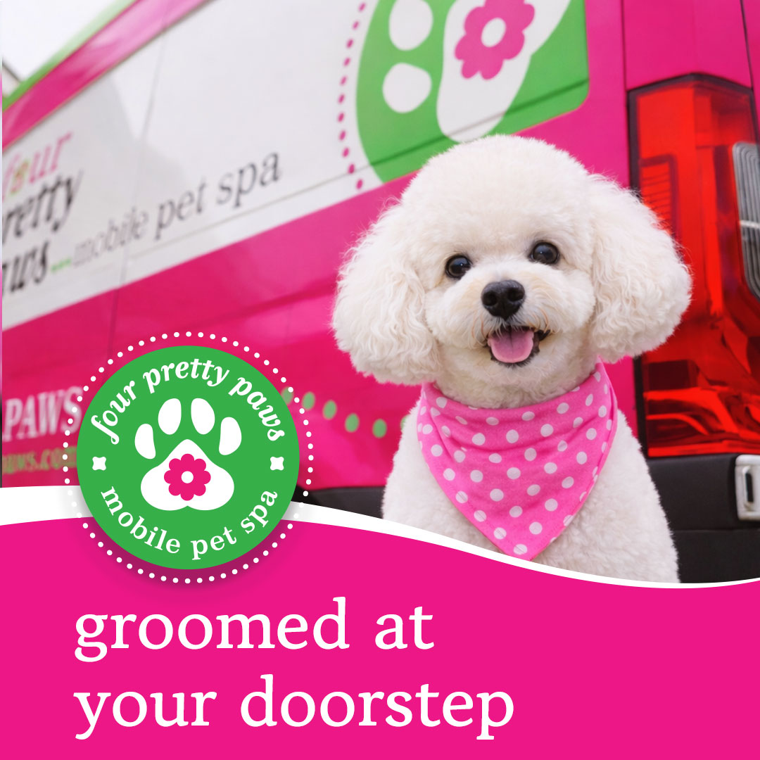 Four Pretty Paws Facebook ad