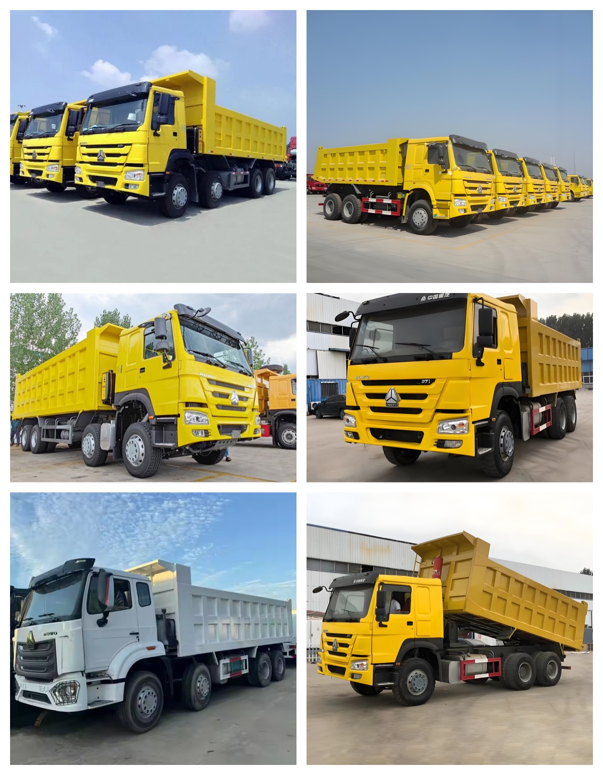 Honey Badger Shandong International Trade Co., Ltd. Facebook ad