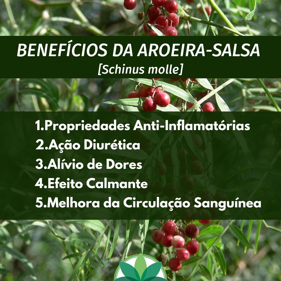 Semana Autor da Própria Saúde Facebook ad: A aroeira salsa é uma planta conhecida por…