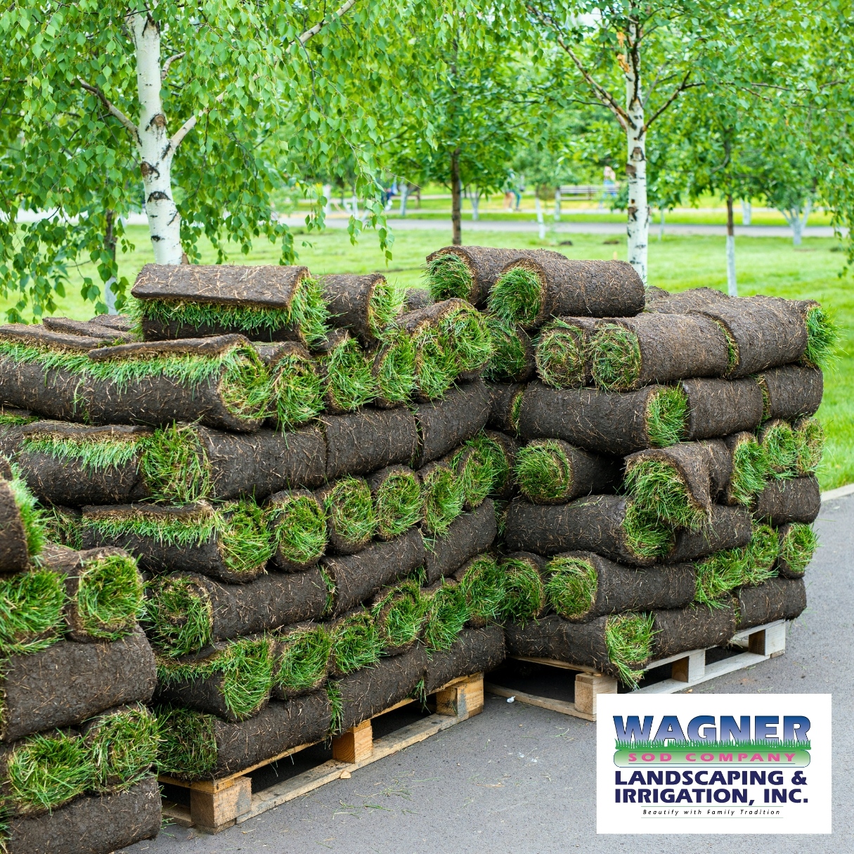 Wagner Sod, Landscaping and Irrigation Co., Inc. Facebook ad: 5 STAR CREWS