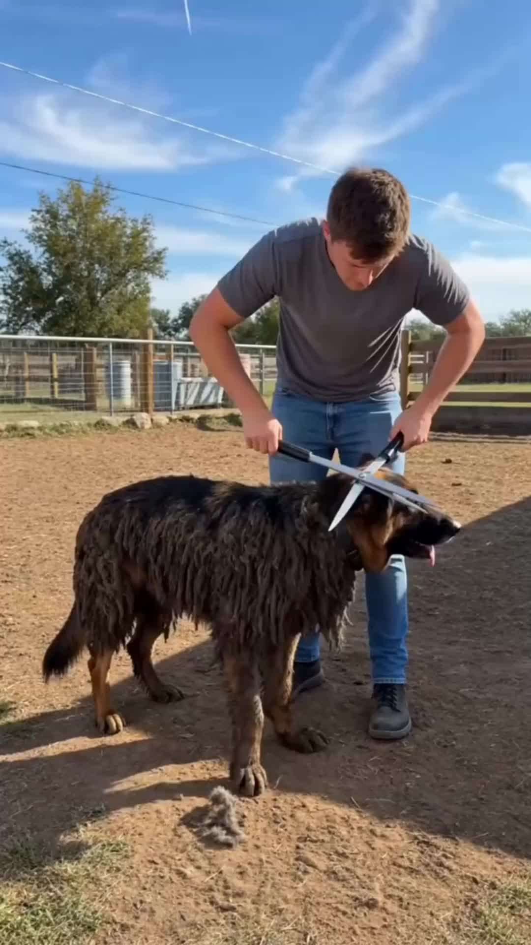 Peapodvine.PO11 Facebook ad: New Pet Pro Grooming Tool