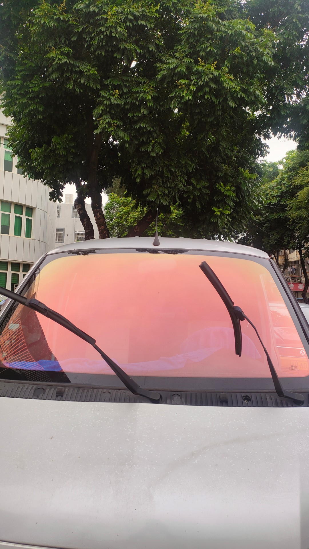 SMF Global Trade Facebook ad: Direct from the source factory for automotive window film!