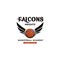 Falcons Heights Basketball Academy UAE