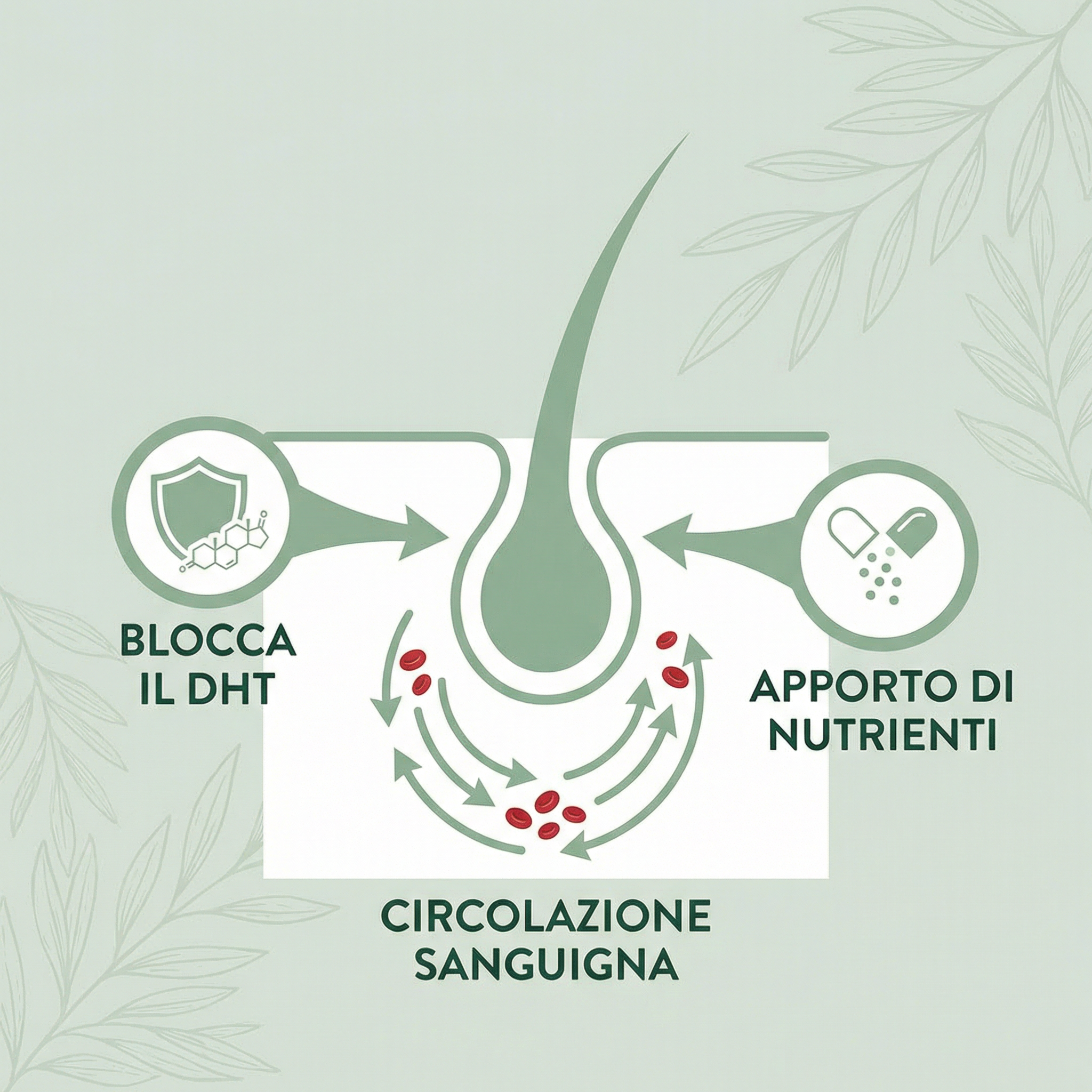 Hairletics Italia Facebook ad: La Tua Caduta Ha 3 Cause. La Maggior Parte Dei Prodotti Ne…