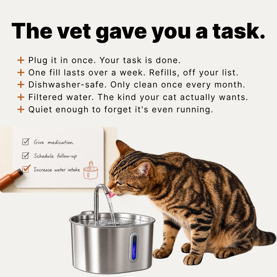 KittySprings Facebook ad: Makes The Vet's Task Easy