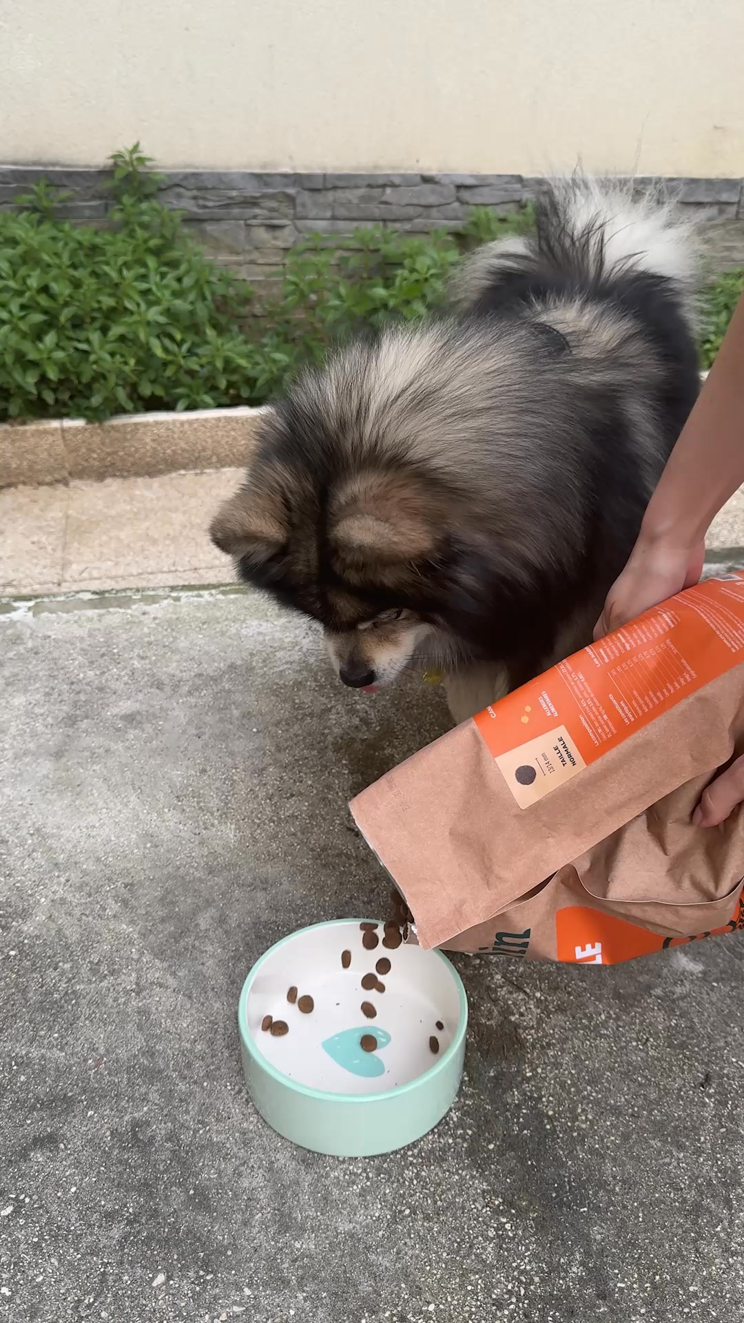 Franklin Pet Food Facebook ad: Le goût qui fait la différence
