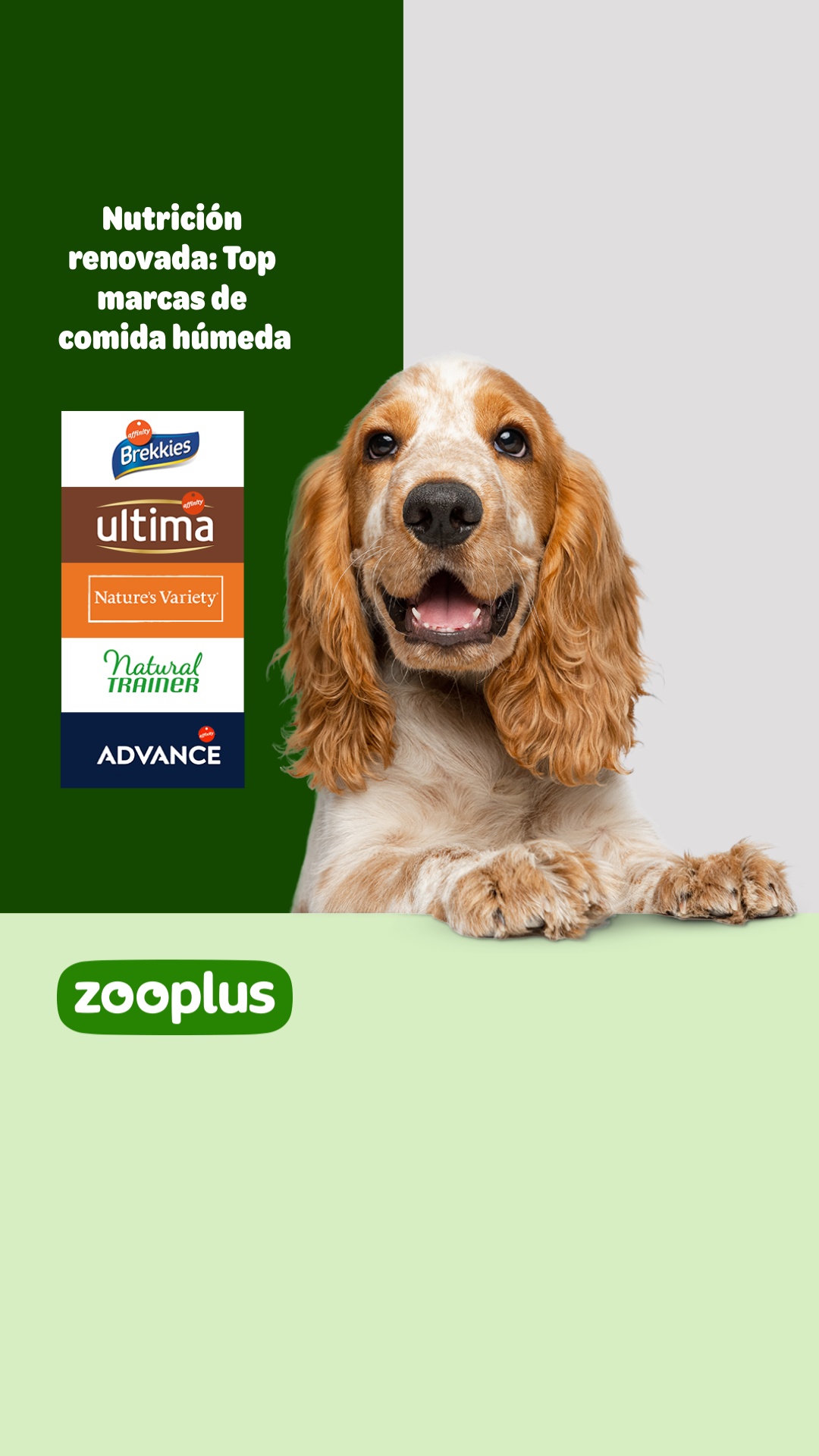 zooplus Facebook ad from May 21, 2026