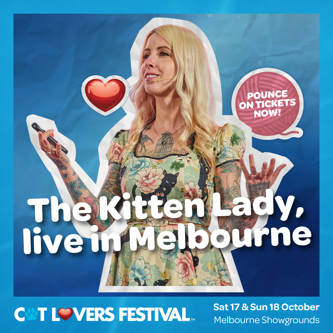 Cat Lovers Festival Facebook ad: The Cat Lovers Festival Is Back
