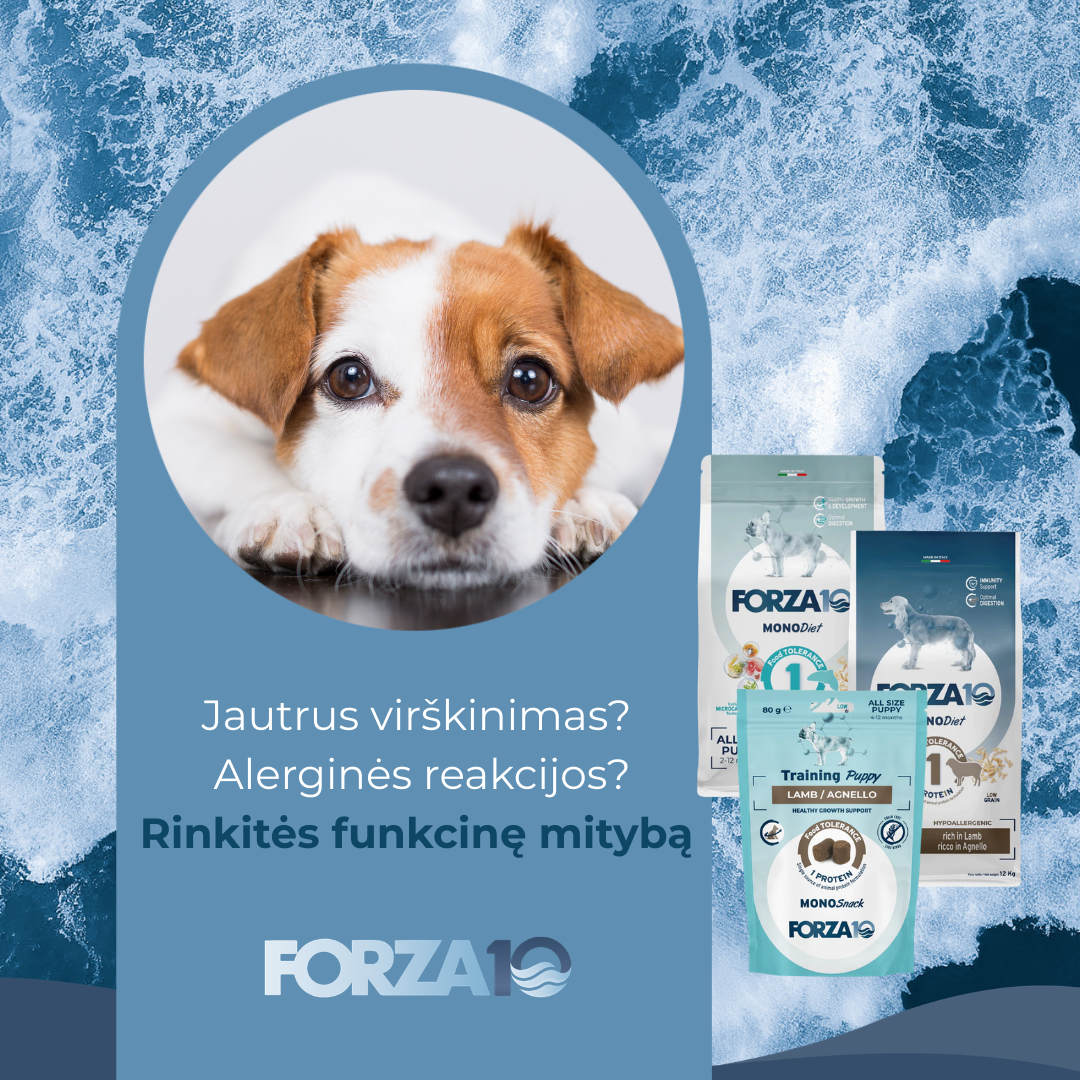 Forza10 Lietuva Facebook ad: Sprendimai jautriems šunims