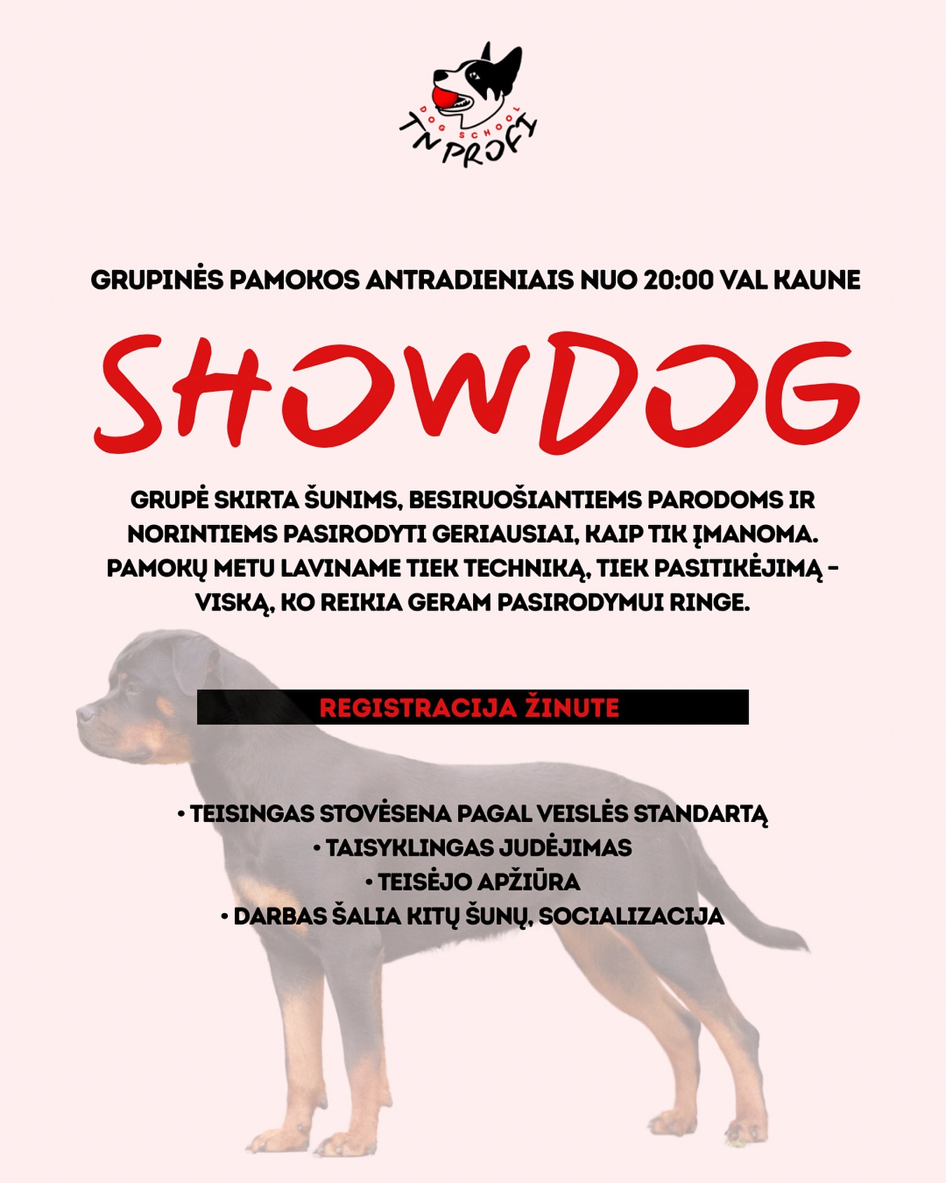 TN PROFI Šunų Dresūros Mokykla Facebook ad: SHOWDOG pamokos, antradieniais 20:00 Kaune