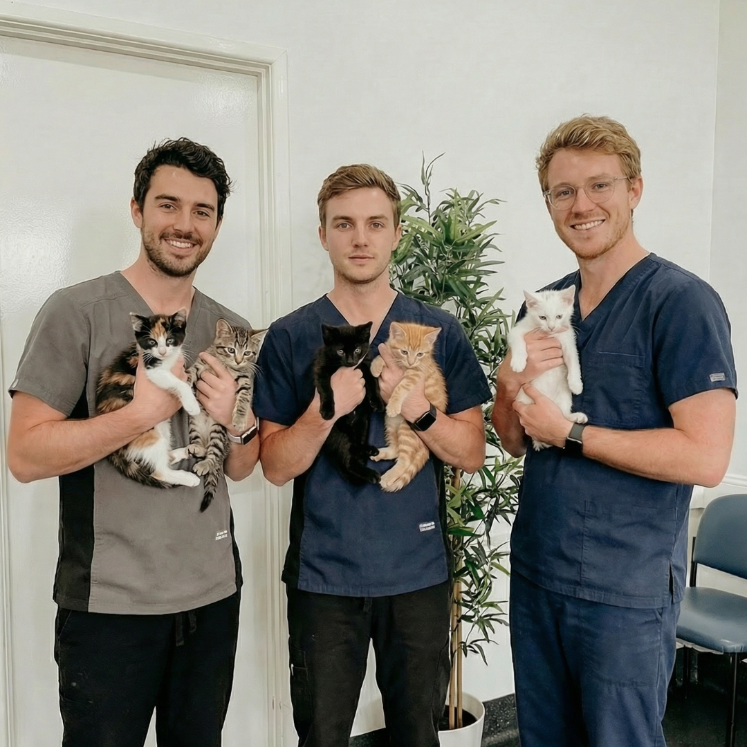 Animal Care Veterinary Clinic Facebook ad