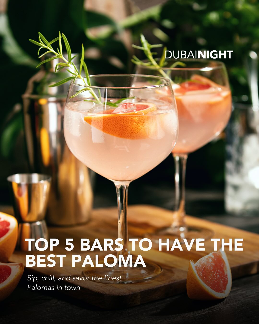 DubaiNight.com Facebook ad: World Paloma Day is here and we’re raising…