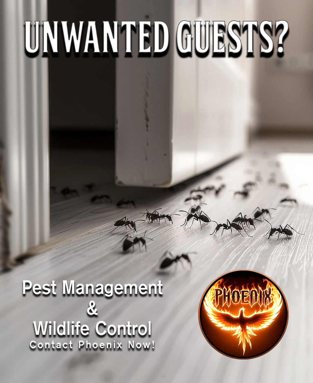 Phoenix Pest Management & Wildlife Control Facebook ad