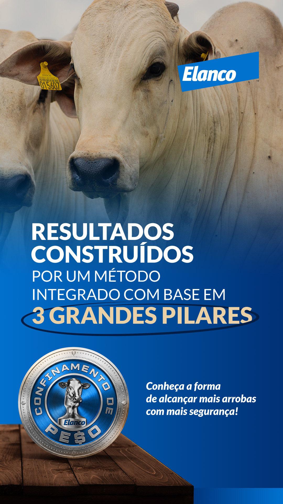 Elanco Facebook ad