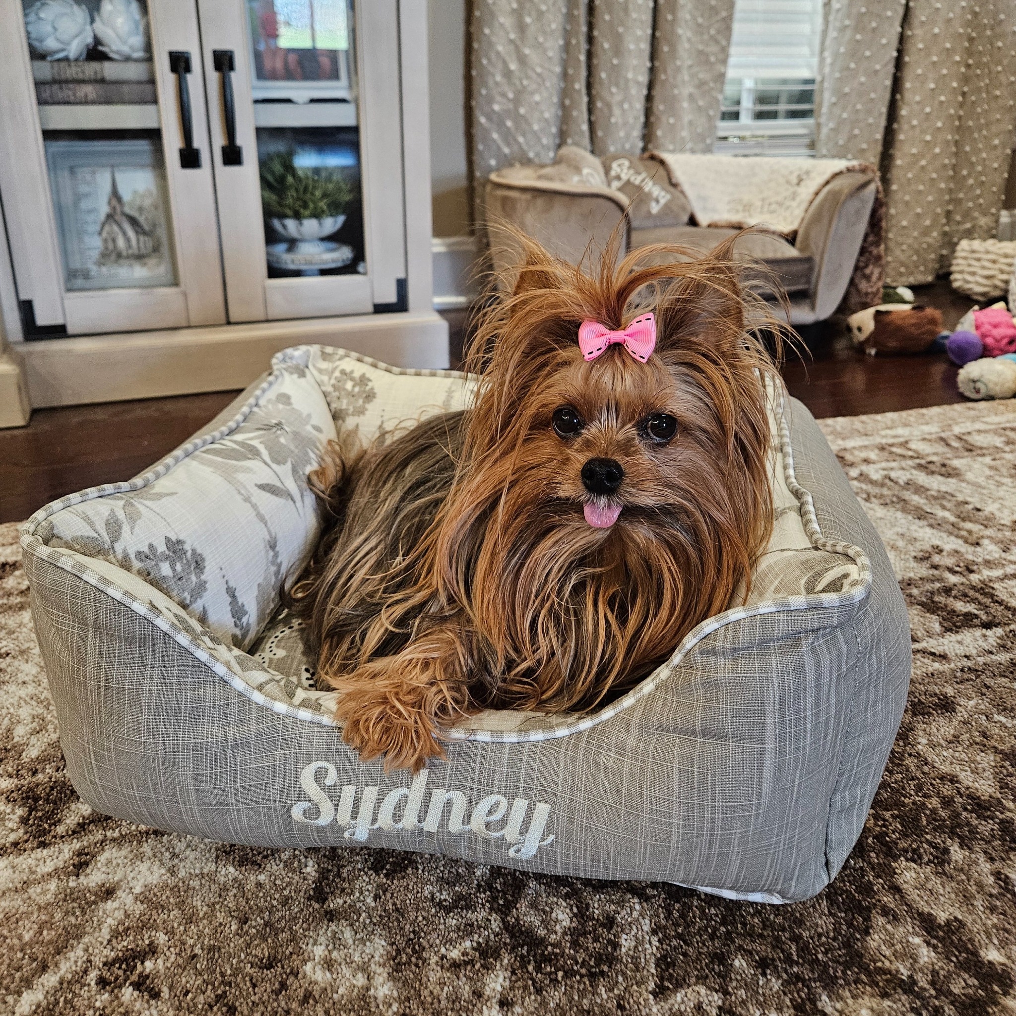J'adore Custom Pet Beds Facebook ad