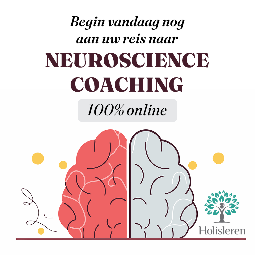 Holisleren Facebook ad