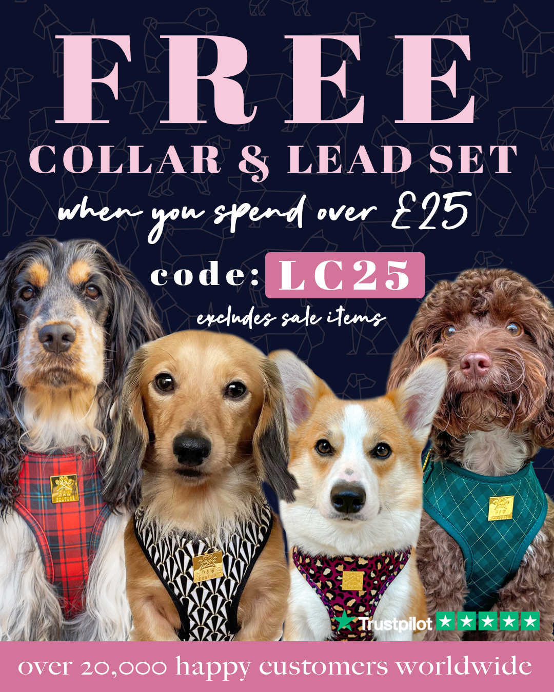 Paw Couture Facebook ad
