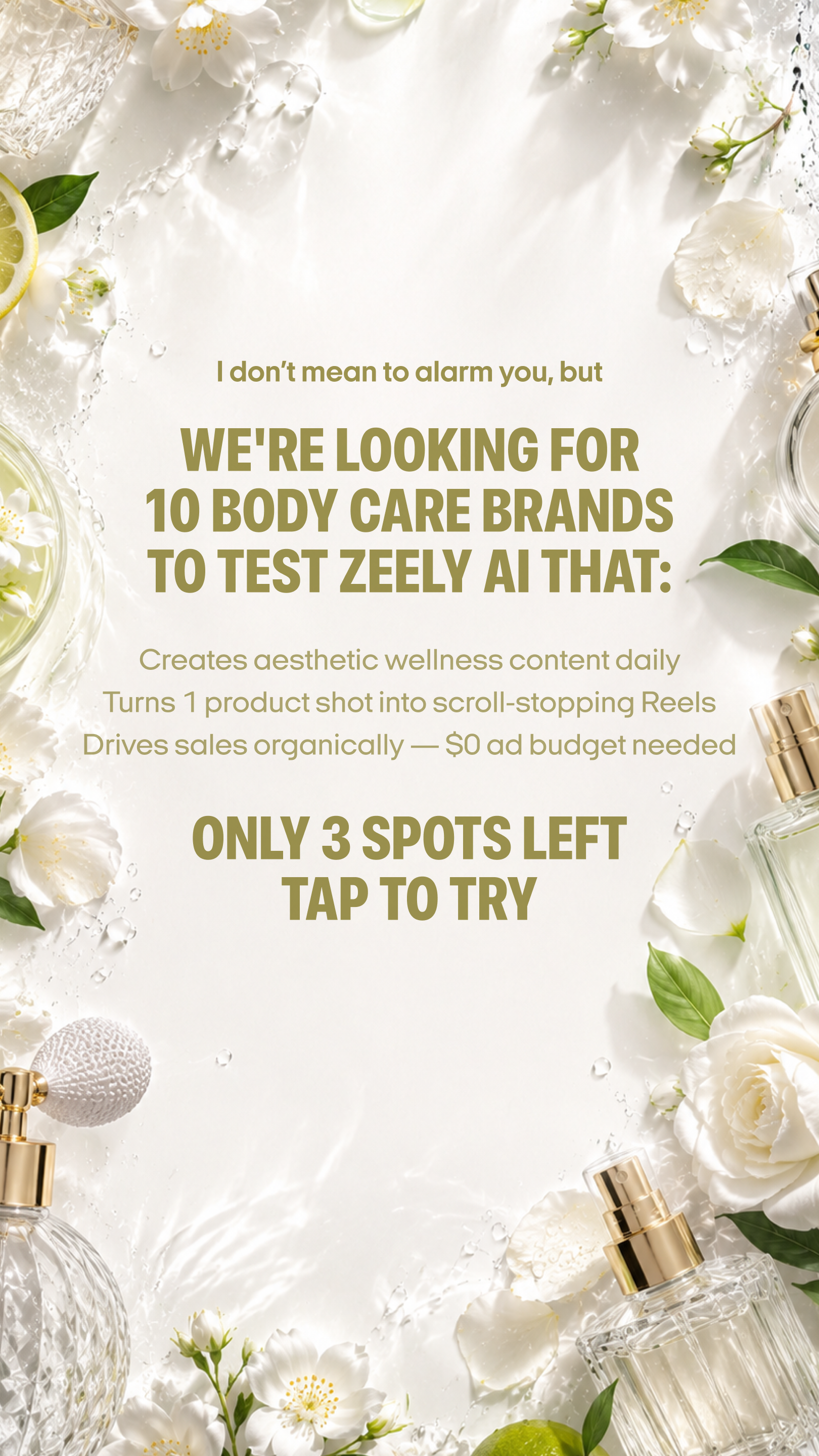 Zeely Facebook ad