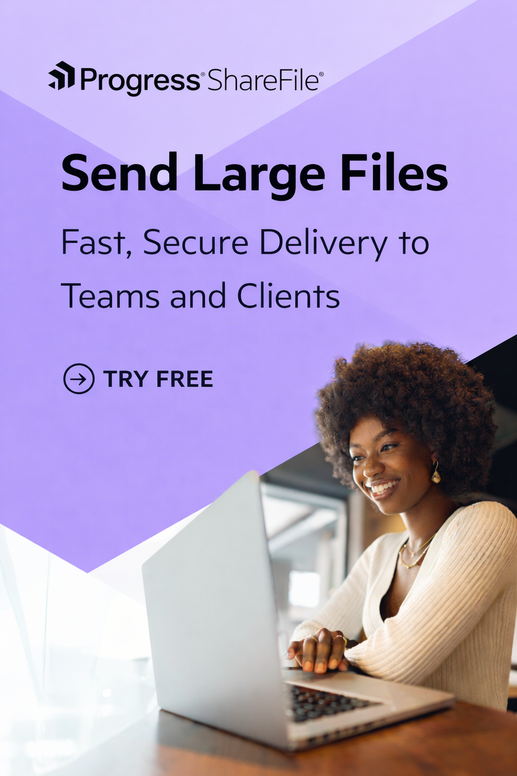 Progress ShareFile Facebook ad