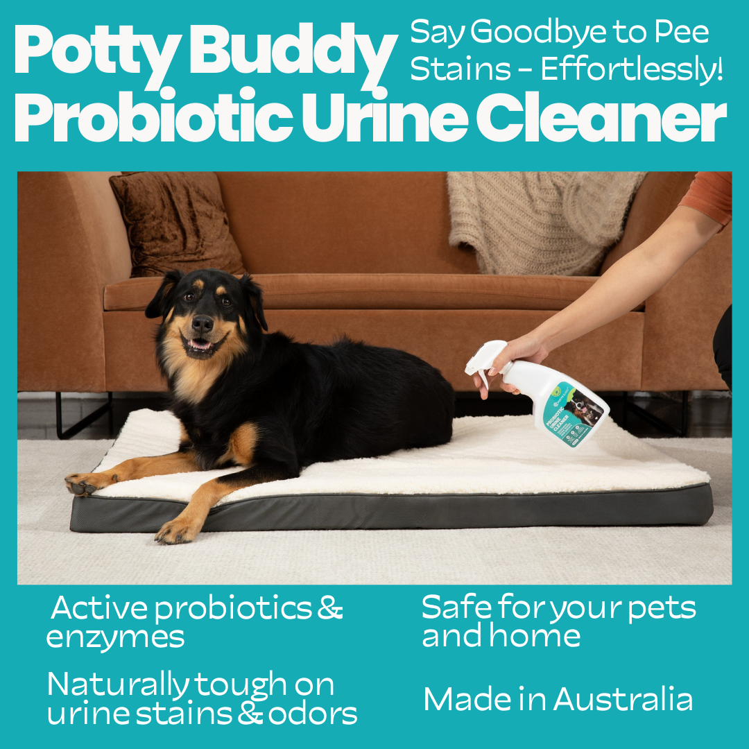 Potty Buddy Facebook ad