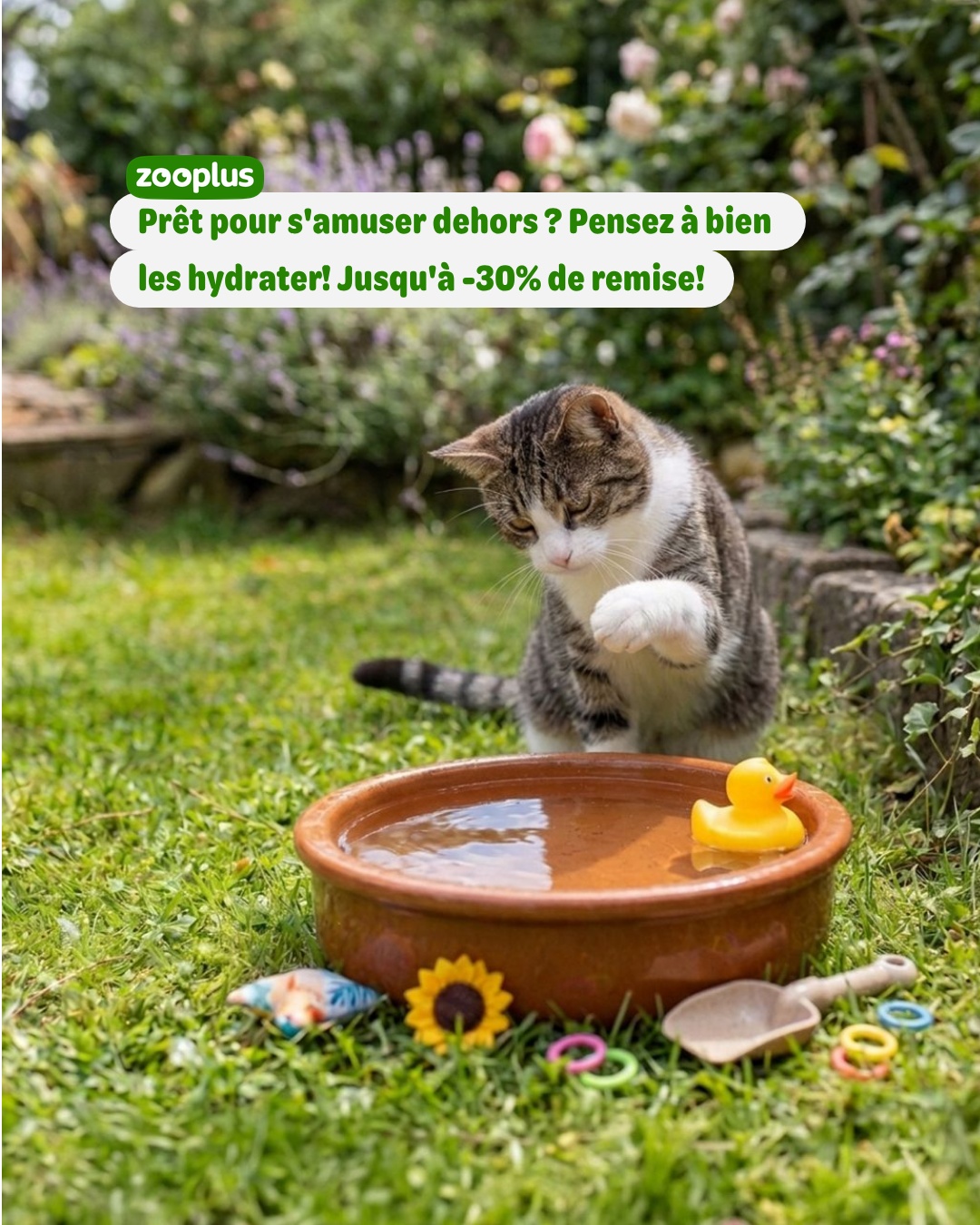 zooplus Facebook ad