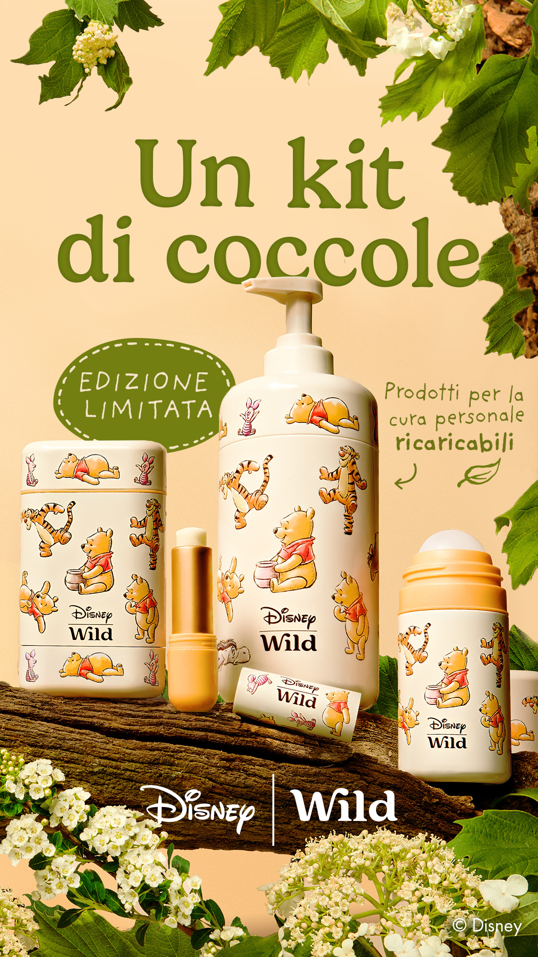 Wild Facebook ad: La tua routine quotidiana ispirata a Disney Winnie the Pooh