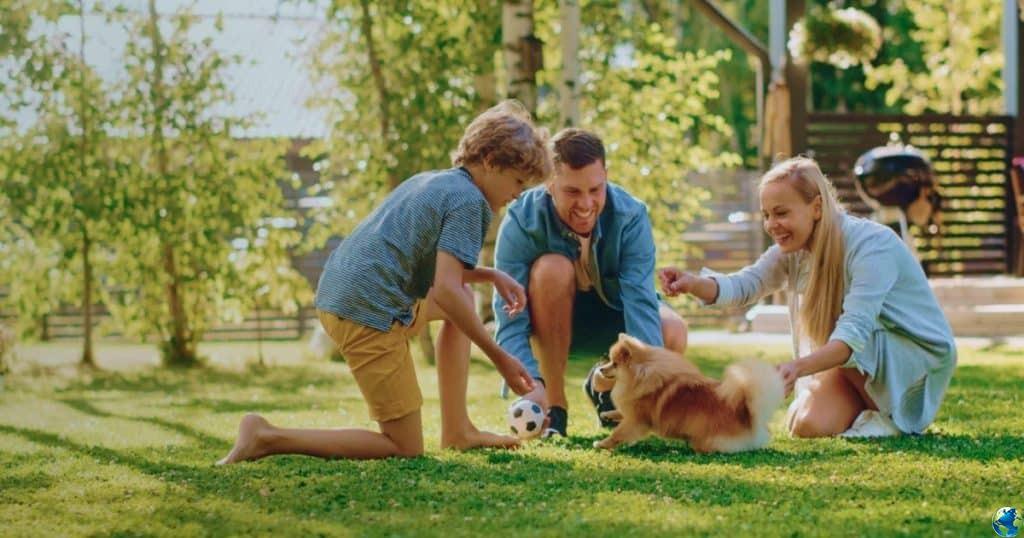 EcoGreen Lawn Care Business Facebook ad: Franchise Offer in Bucks