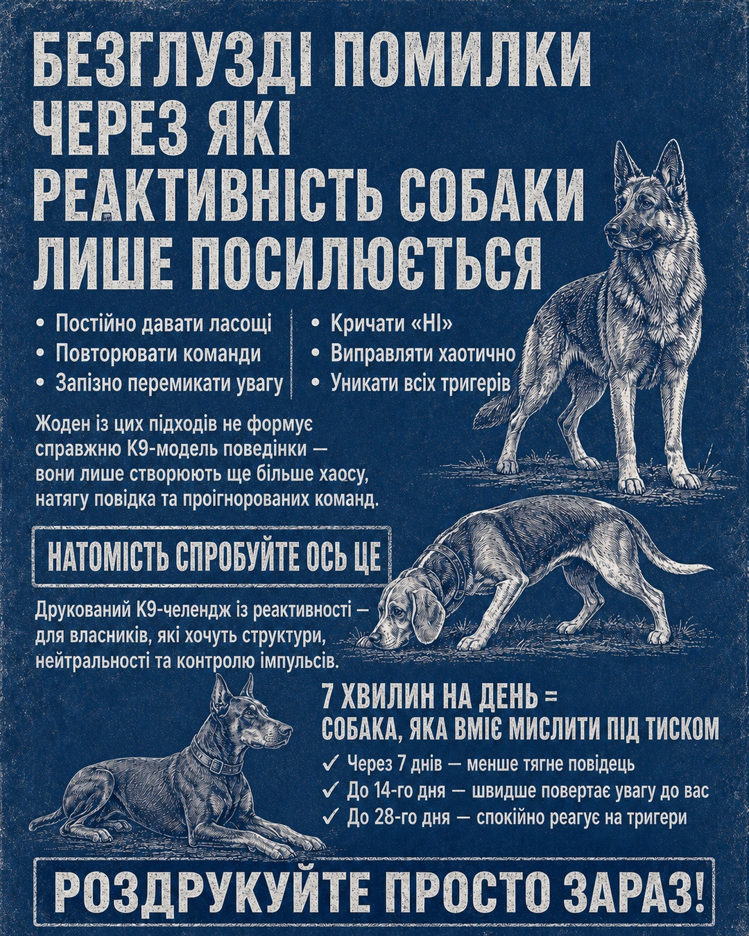Reactive Dogs Club Facebook ad
