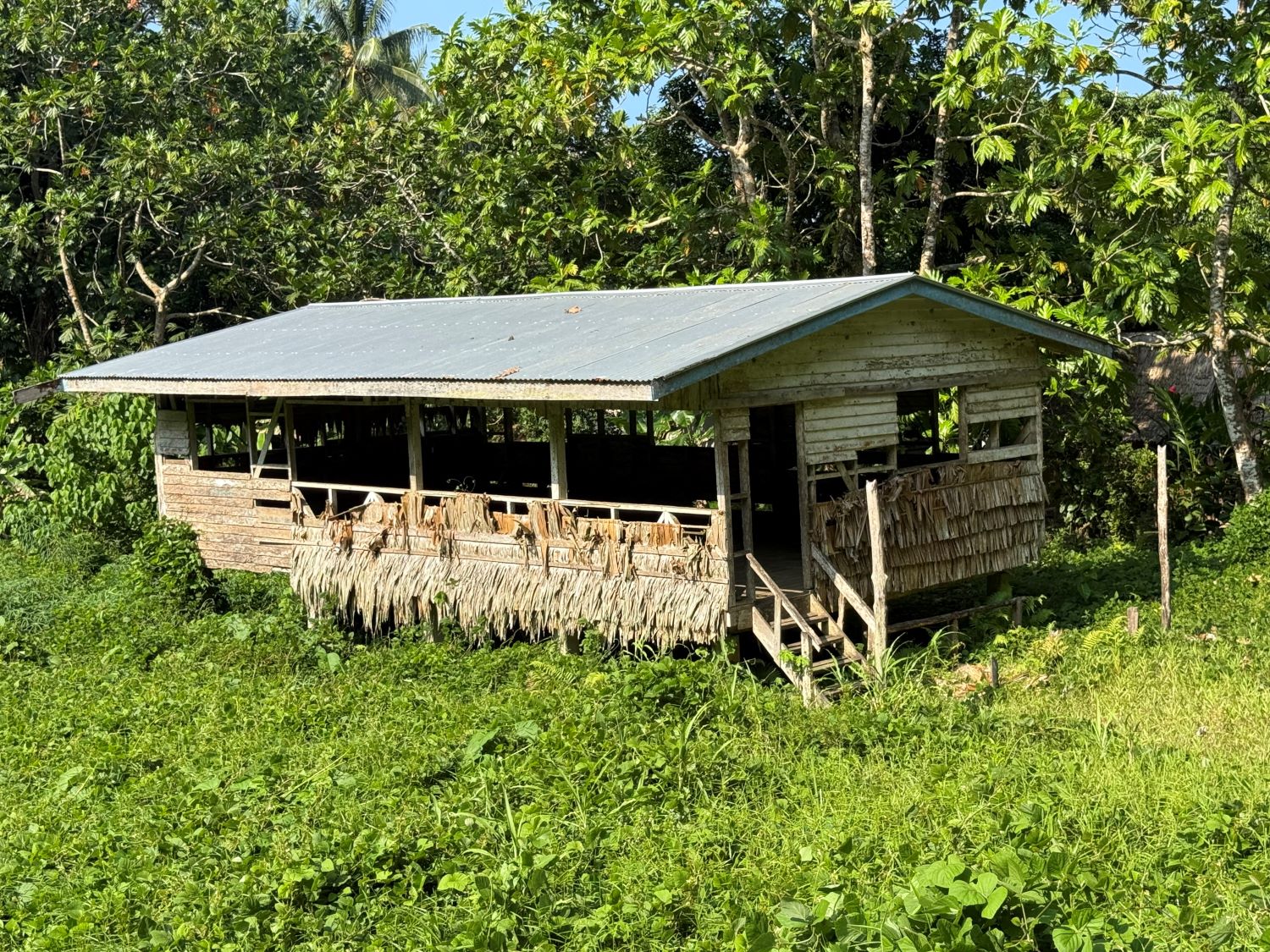 The Island Sun News Facebook ad: People of Mami village in Star harbour-Makira Ulawa…