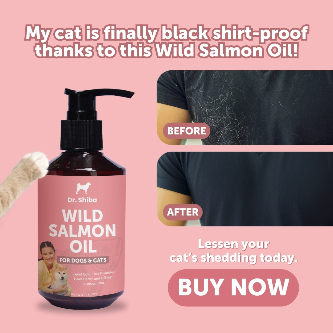 Prof Bengal Facebook ad