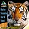 Marian Sundarban Tour & Travel