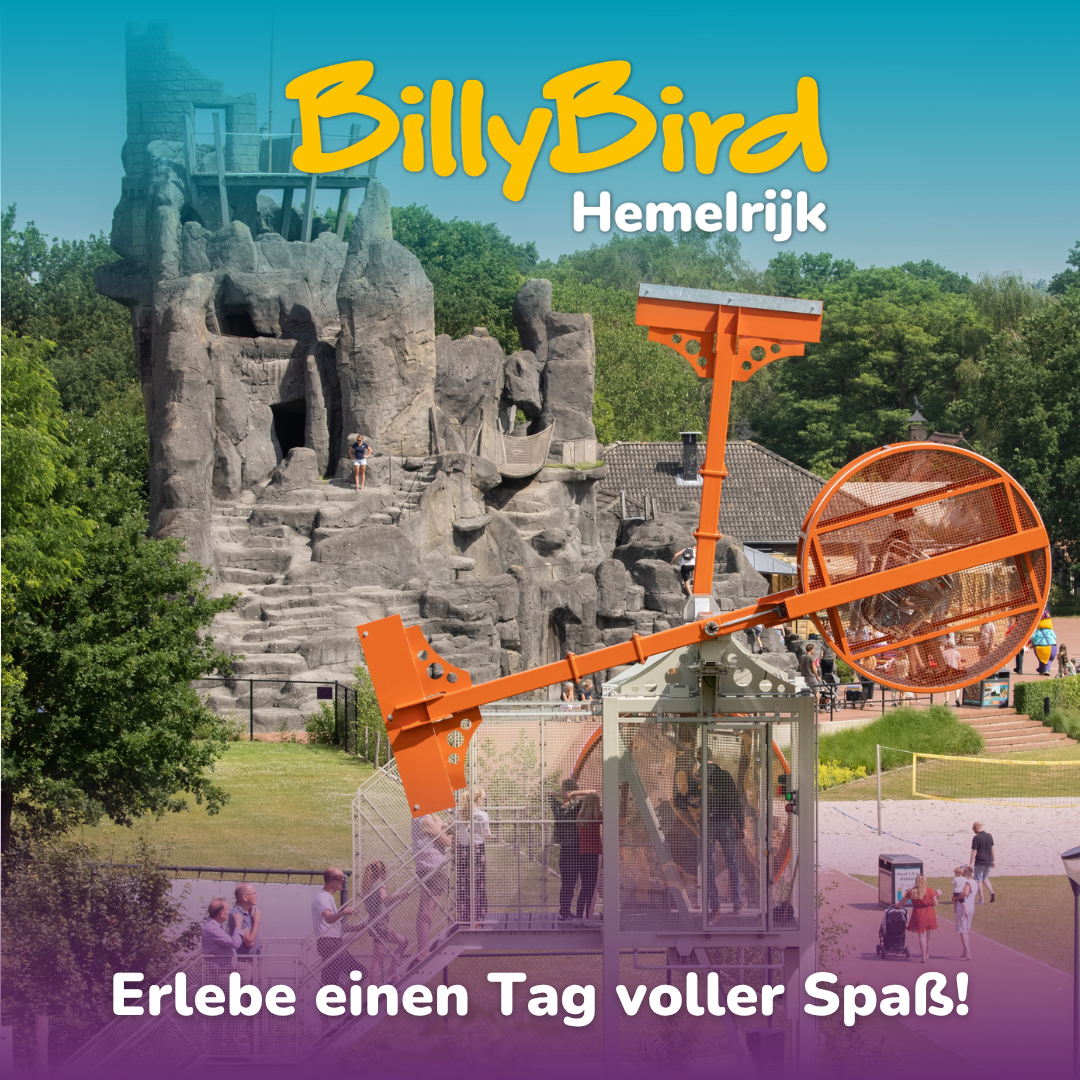 BillyBird Hemelrijk Facebook ad
