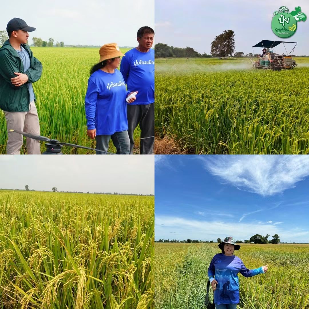 ปุ๋ยโกรแมกซ์คุณภาพสูง กิฟฟารีน คุณวิชิต0816055808 เพจหลัก รับตัวแทนขาย Facebook ad