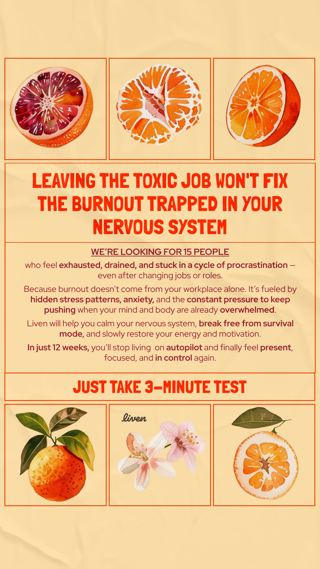 Liven: Communauté d'Éveil de Soi Facebook ad: Easy to Follow Anti-Burnout Plan