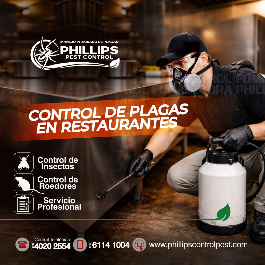 Phillips Pest Control CR Facebook ad: Phillips Pest Control