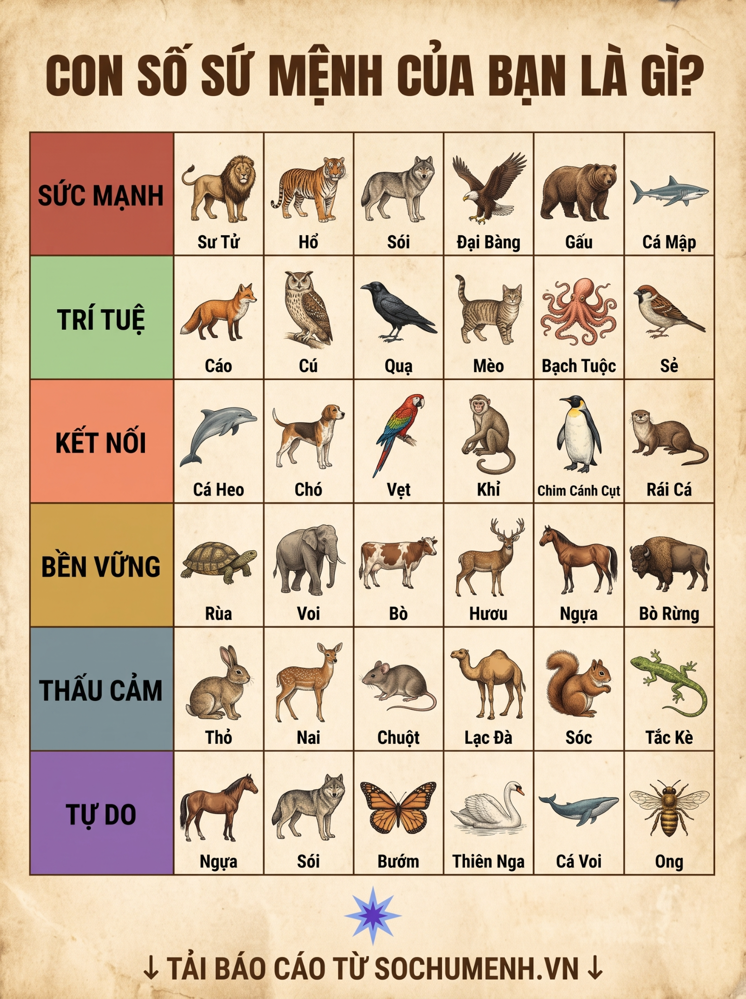 Sochumenh.vn - Tra Cứu Thần Số Học, Giải Mã Số Mệnh Facebook ad: Định hướng & Khẳng định Sự nghiệp