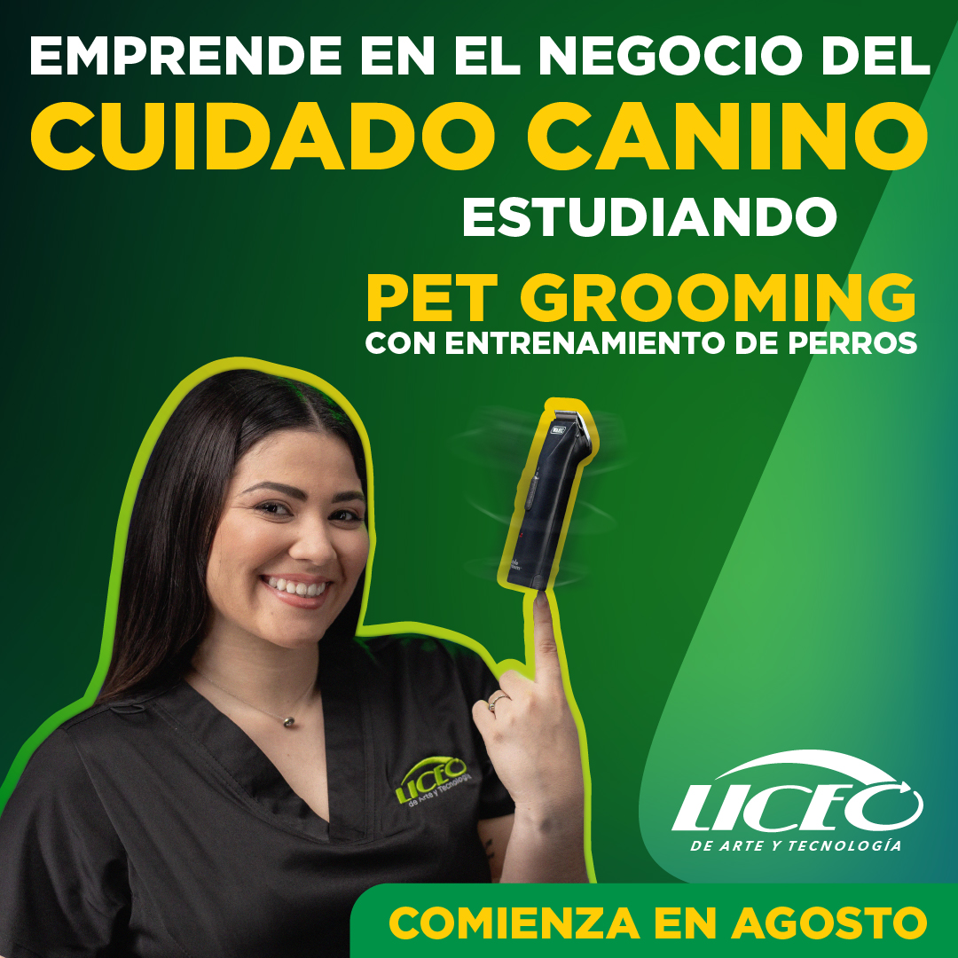 Liceo de Arte y Tecnología Facebook ad: Emprende en Grooming