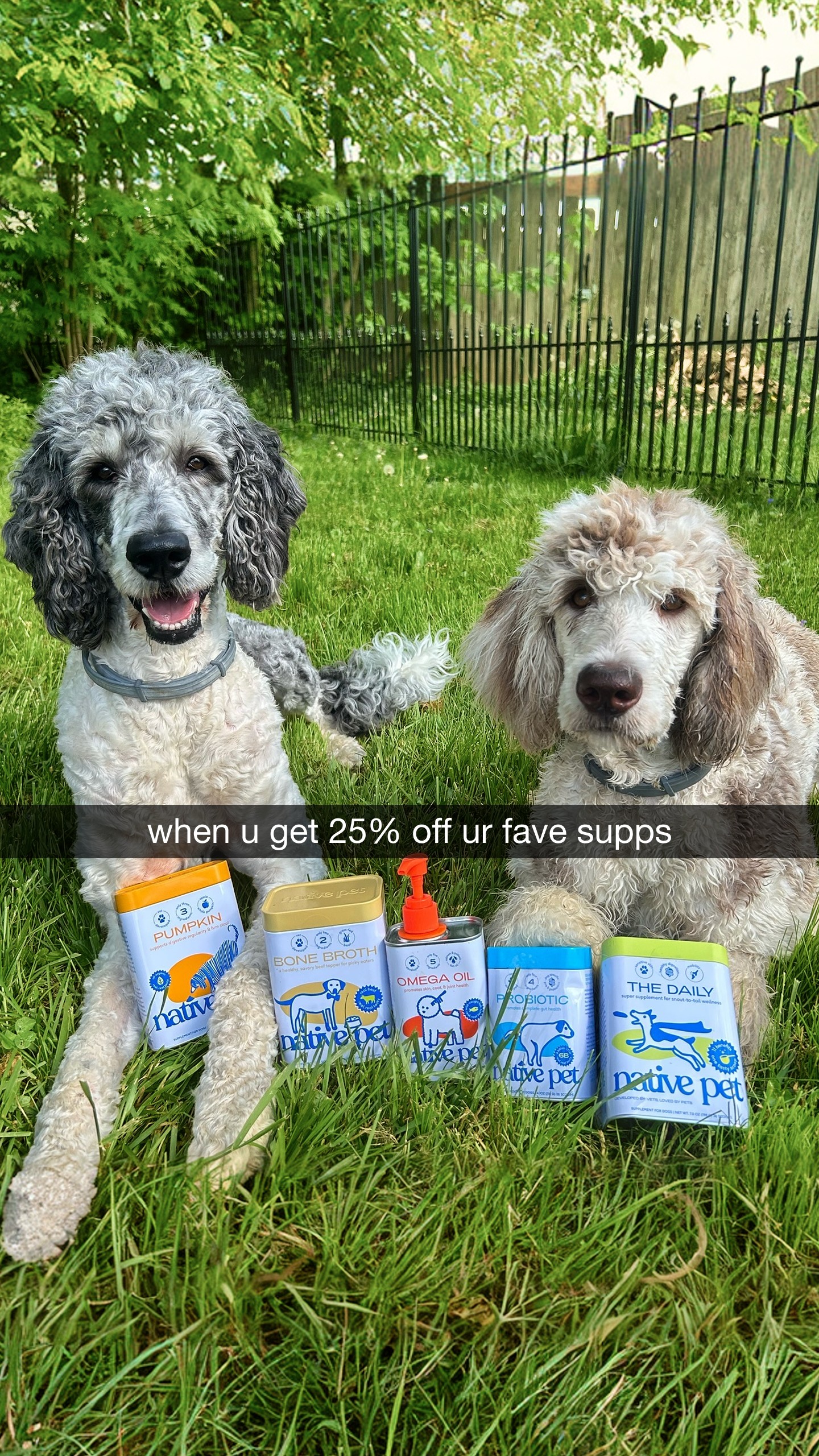 Native Pet Facebook ad