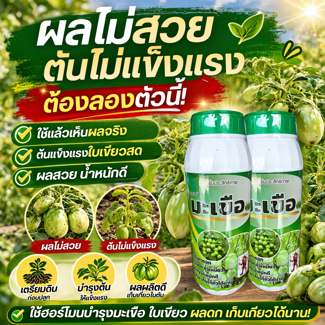 เก่ง การเกษตร 1990 Facebook ad: ผลไม่สวย ต้นไม่แข็งแรง ต้องลองสูตรนี้!