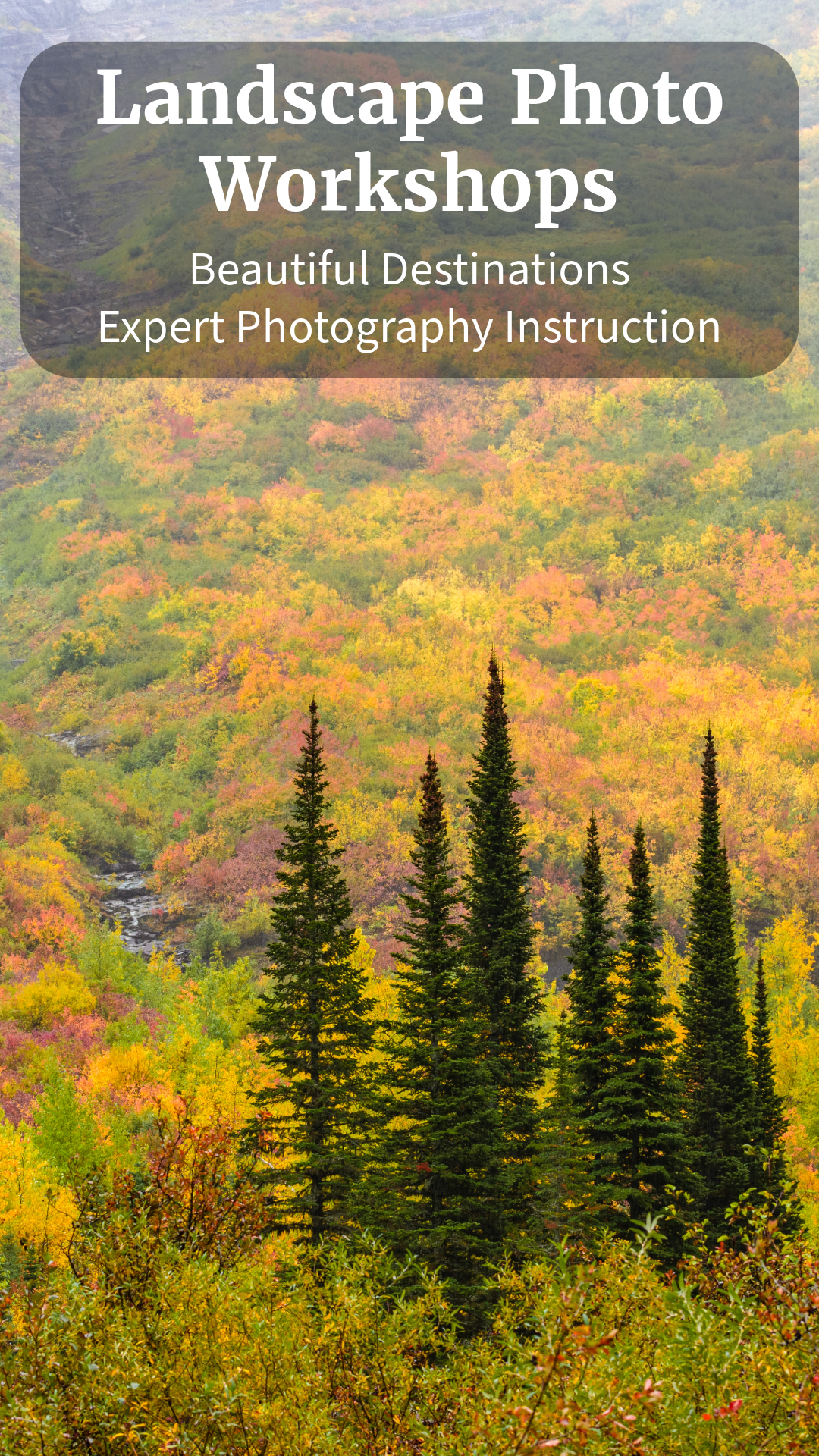 Akari Photo Tours Facebook ad