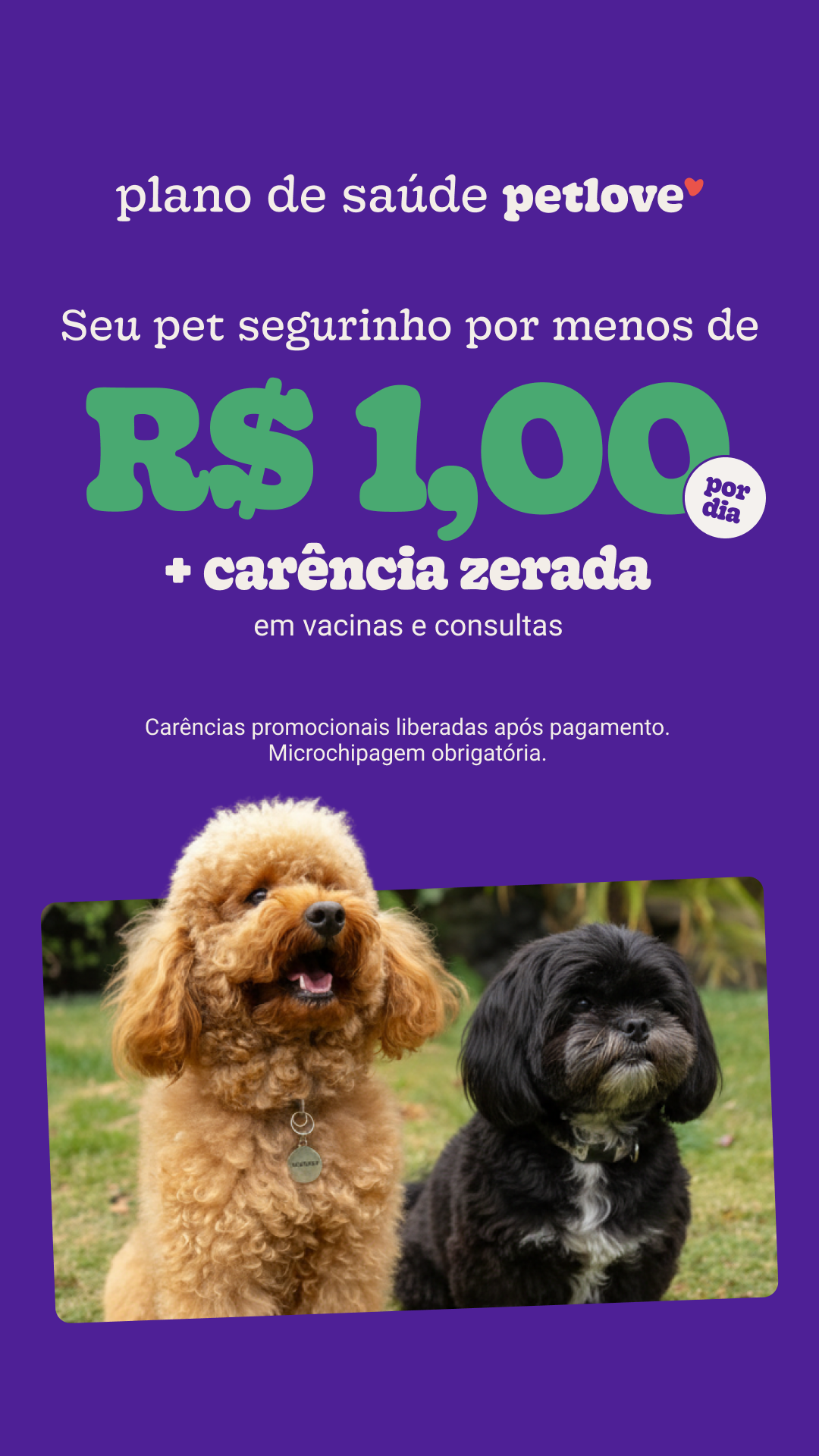 Petlove Facebook ad